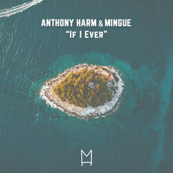 Cover of If I Ever