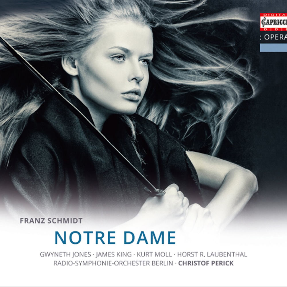 Schmidt: Notre Dame