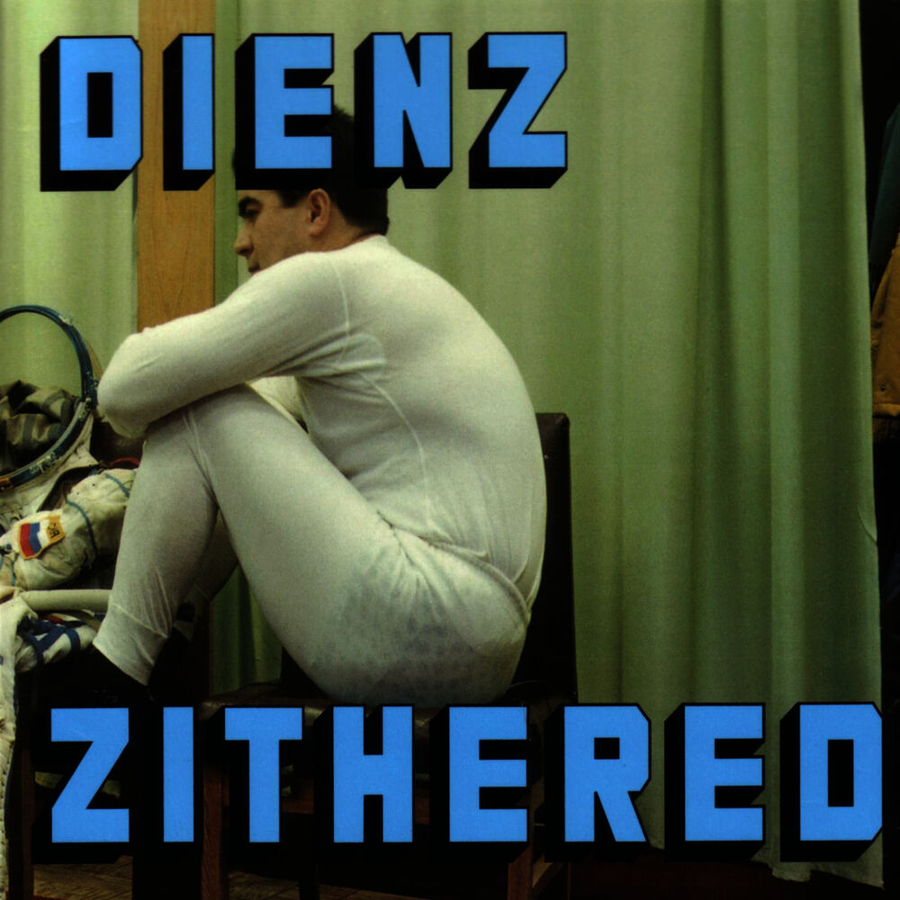 Picture of DIENZ ZITHERED
