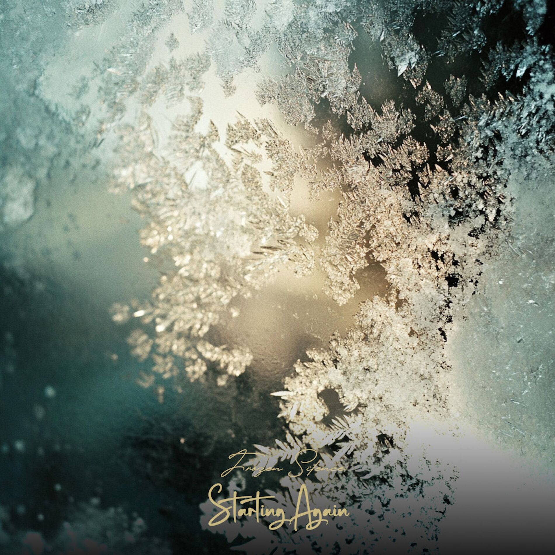 Album cover of Starting Again