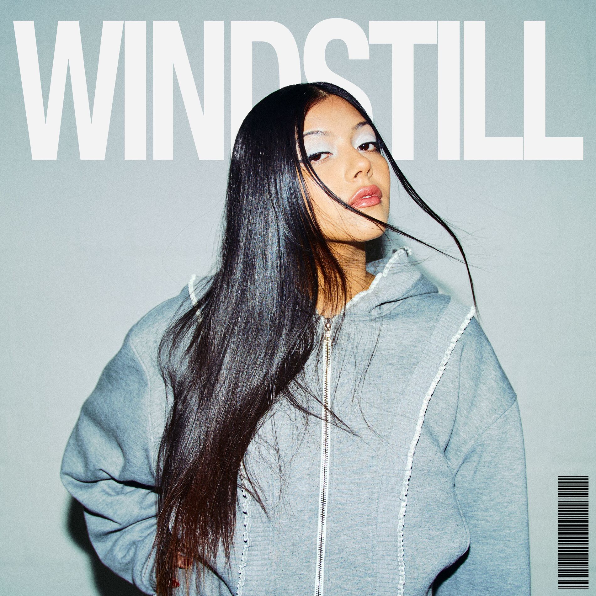 Album cover of Windstill