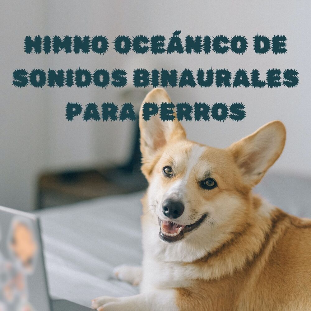 Picture of Himno Oceánico De Sonidos Binaurales Para Perros
