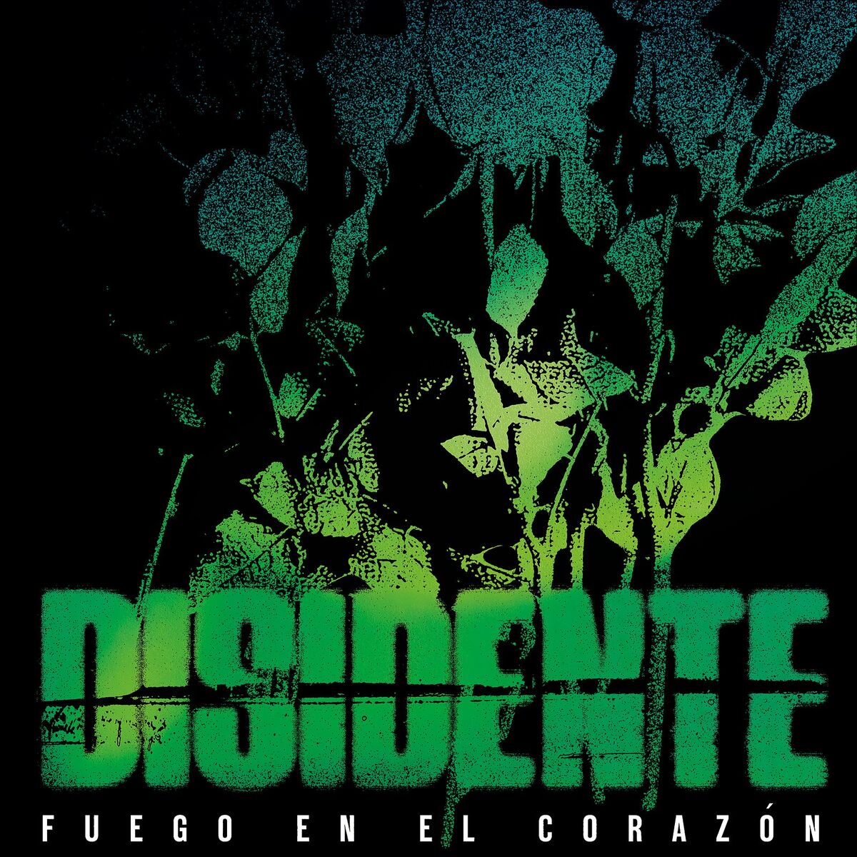 Album cover of Fuego En El Corazón