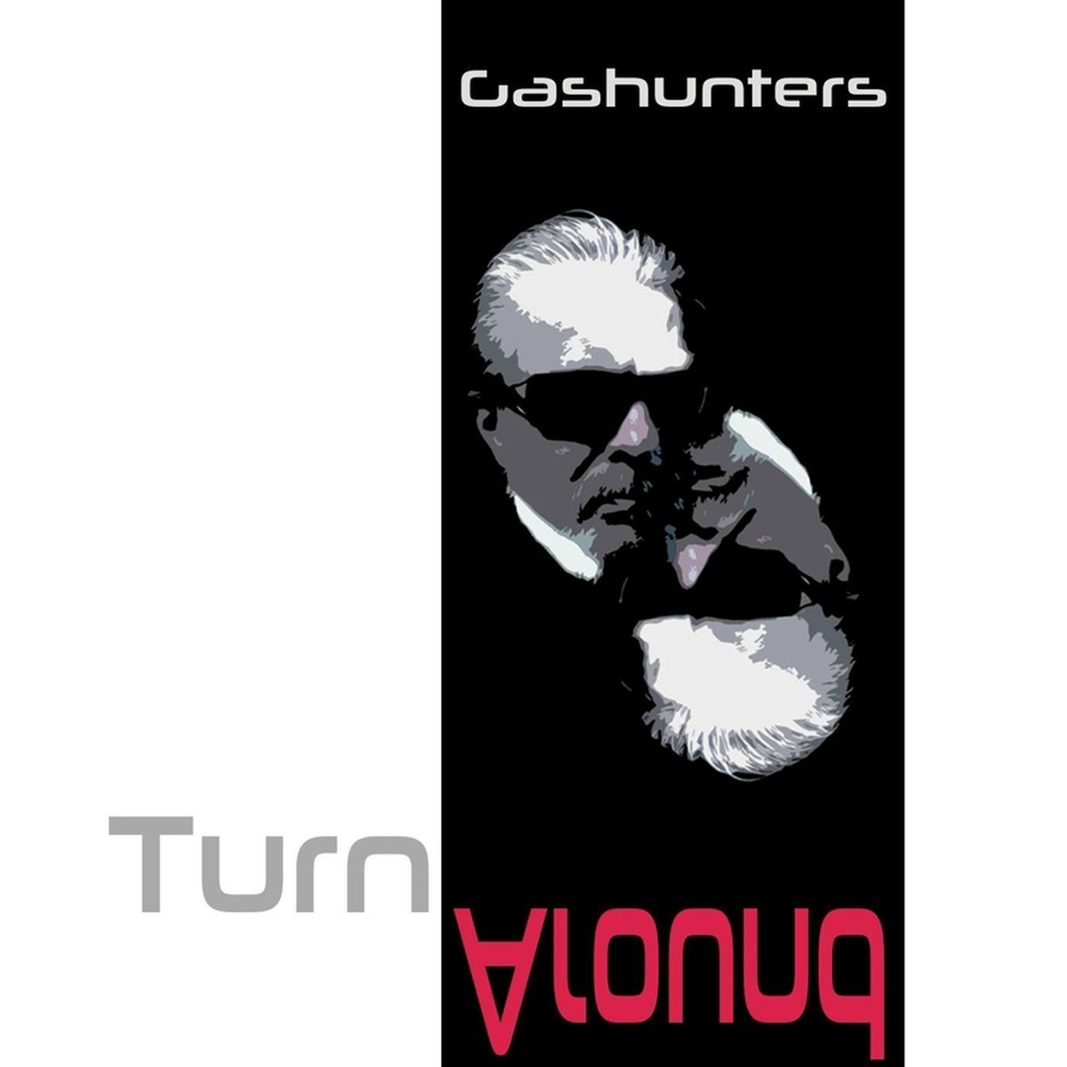 Album cover of Turn Around