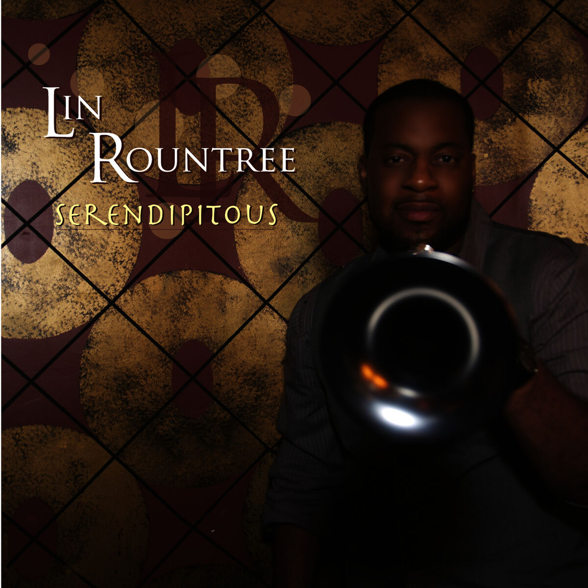 Album cover of Serendipitous
