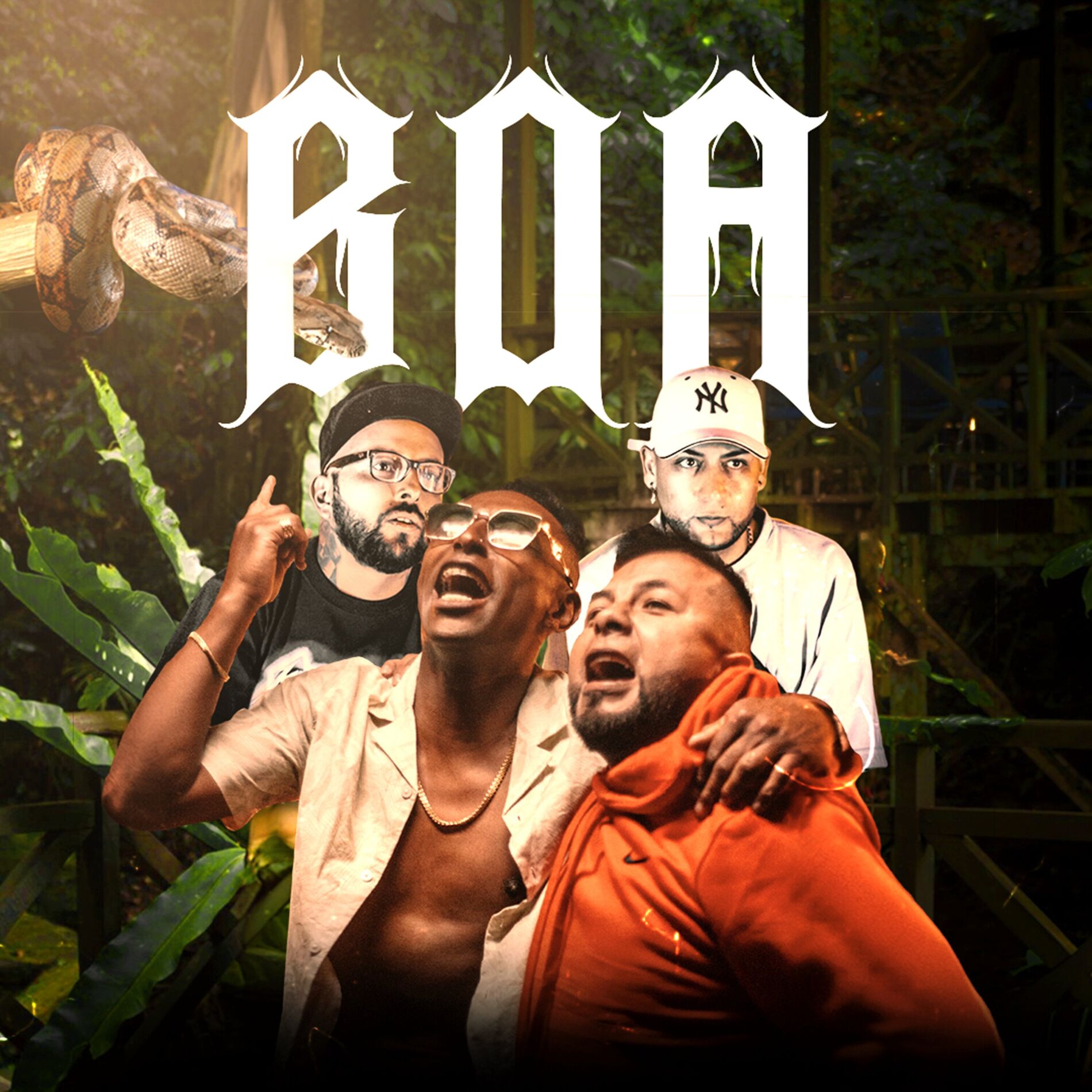 Album cover of Boa