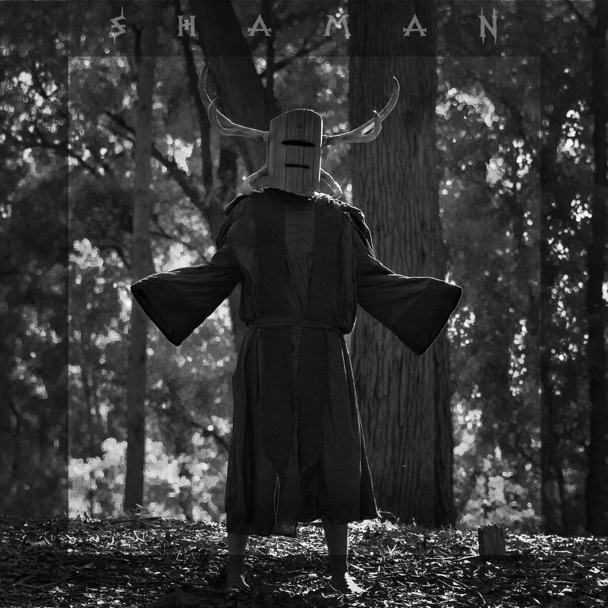 Album cover of Shaman