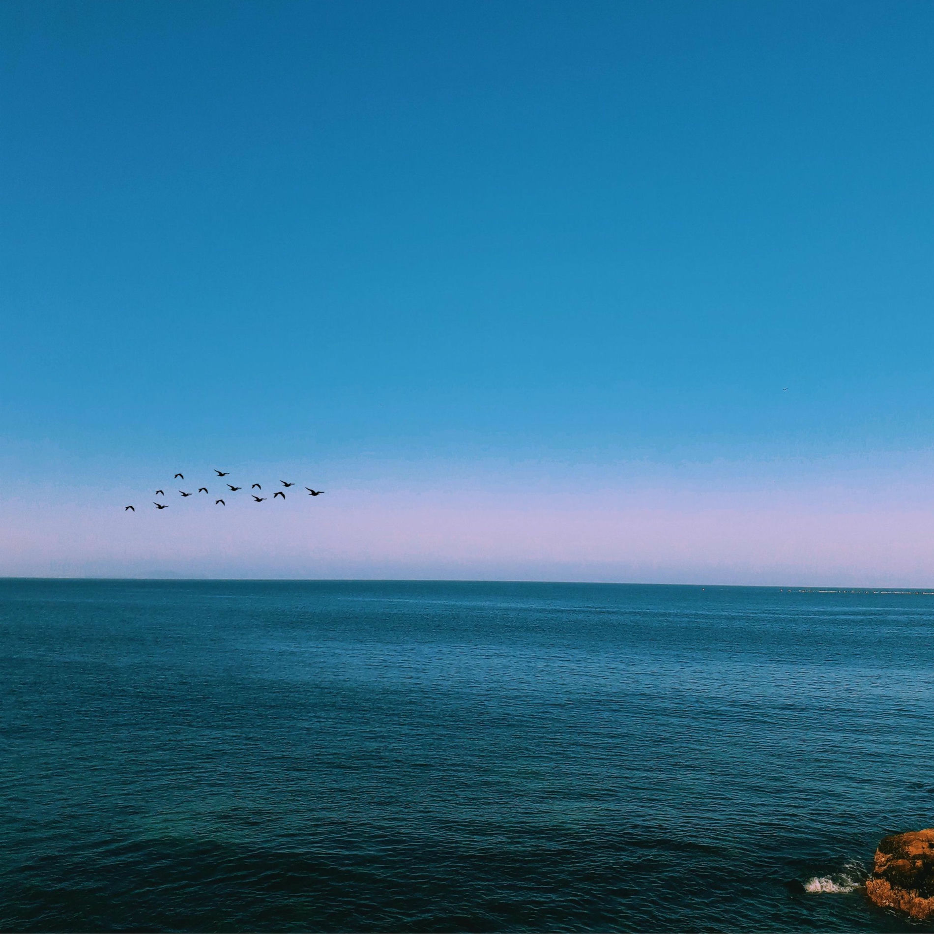 Album cover of First Song - Piano Version