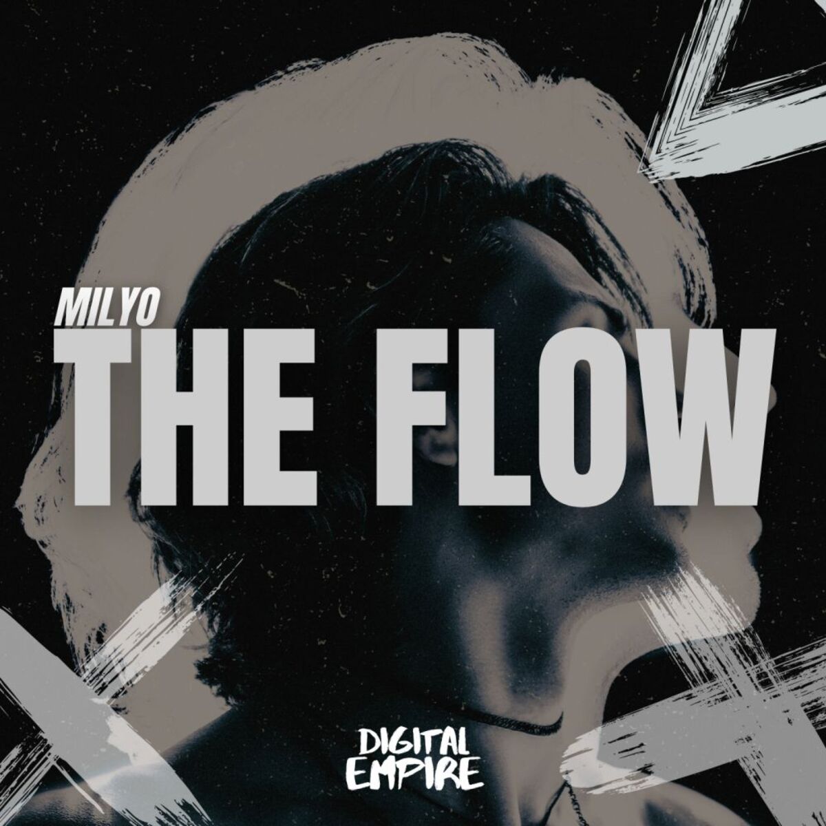 Album cover of The Flow