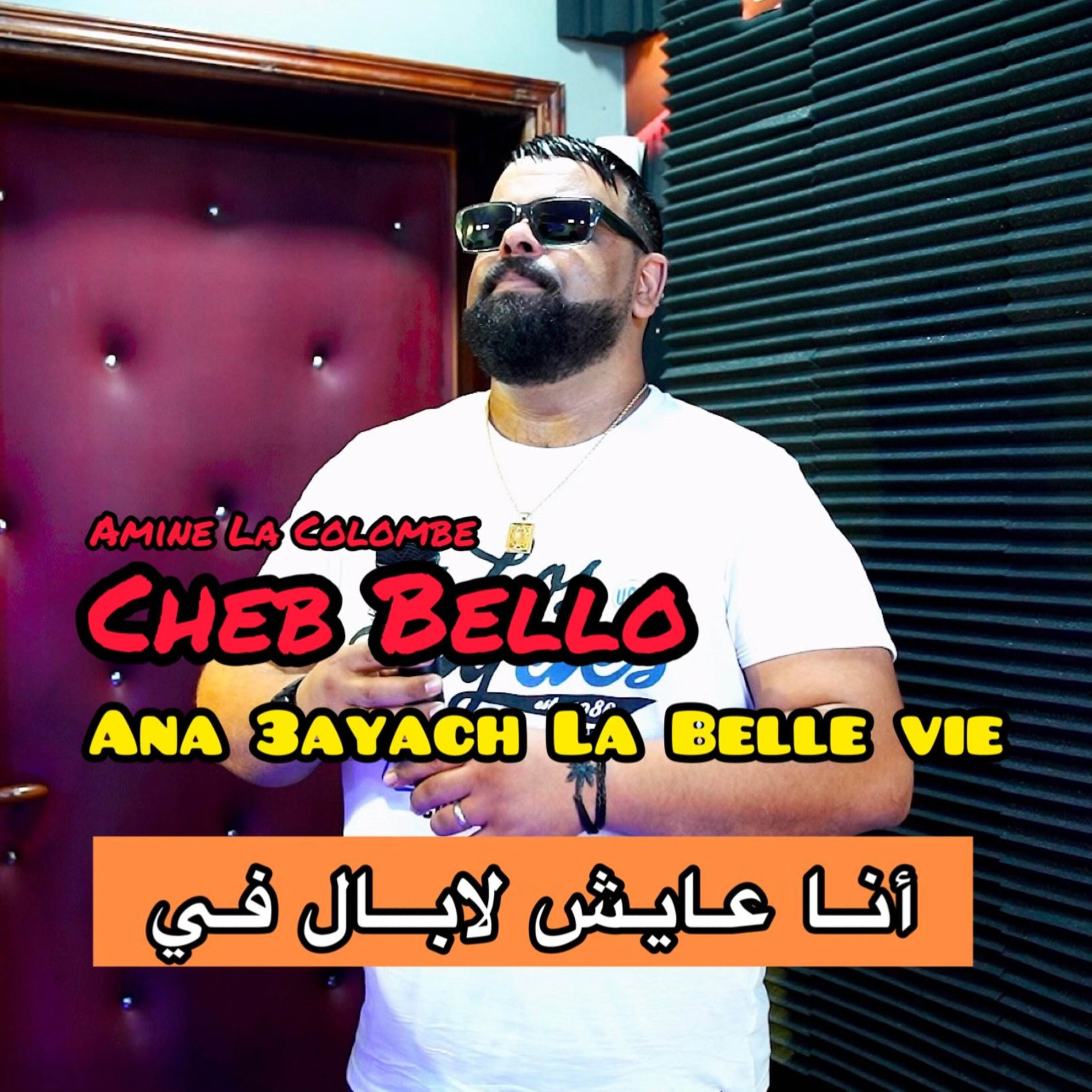 Album cover of Ana 3ayach La Belle Vie