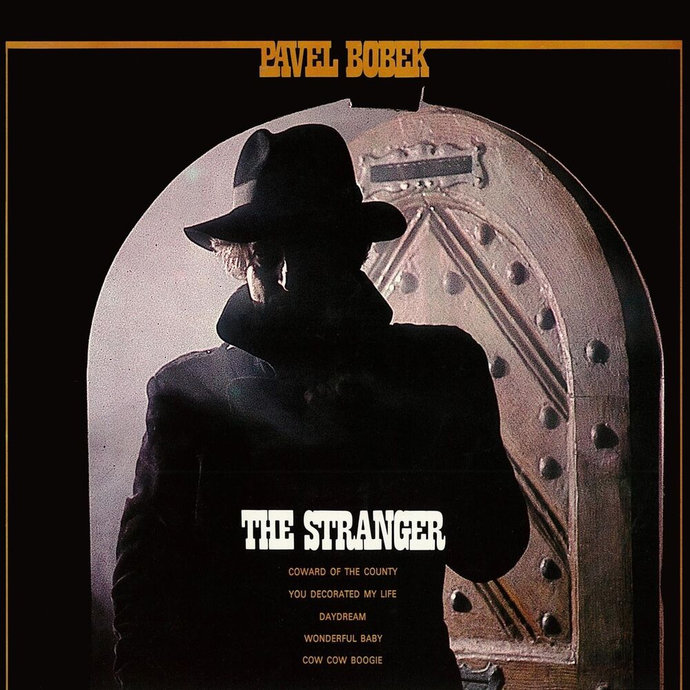 Picture of The Stranger (Zkus Se Životu Dál Smát)