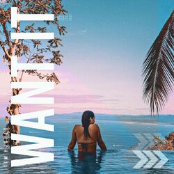 Cover of Want It