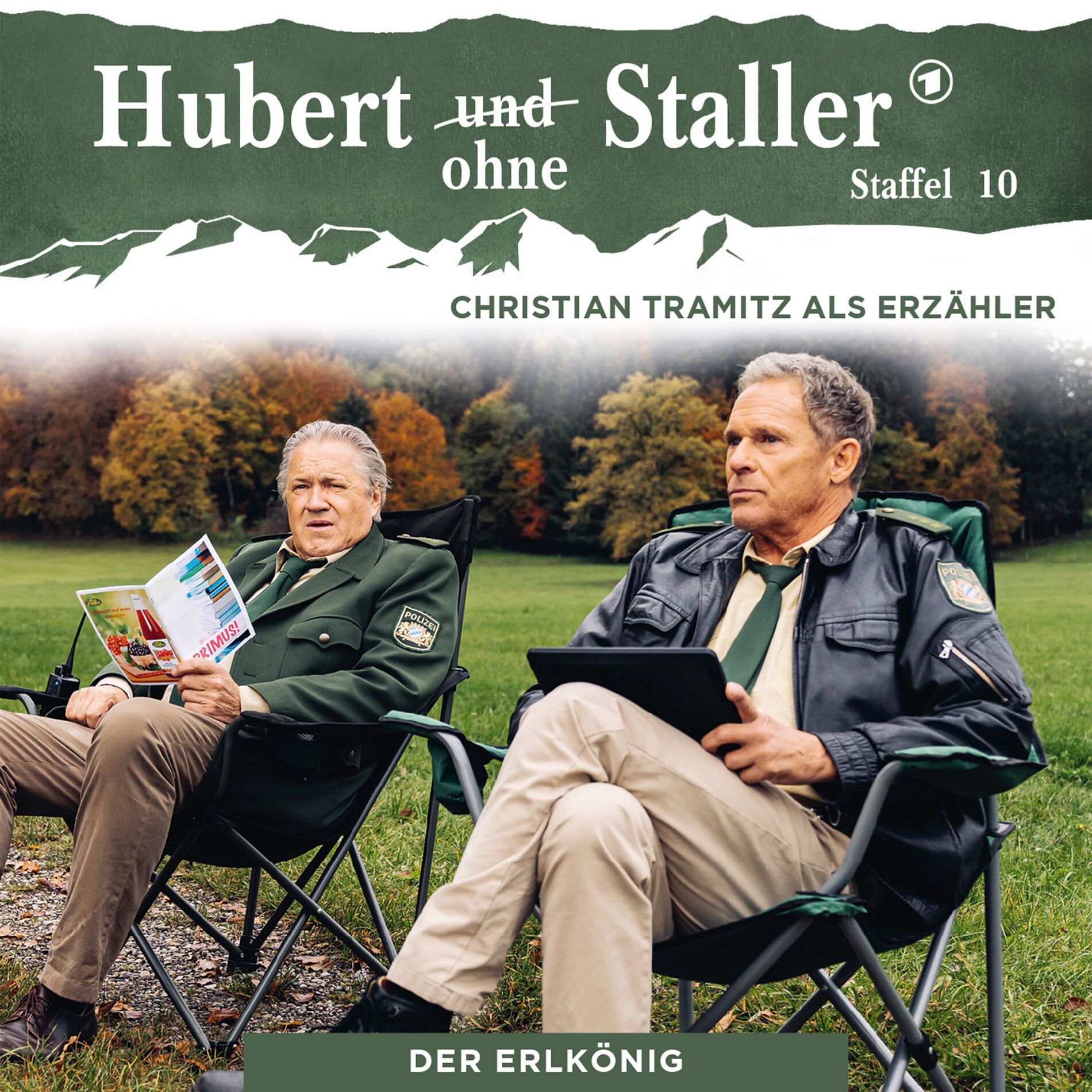 Album cover of Folge 20: Der Erlkönig