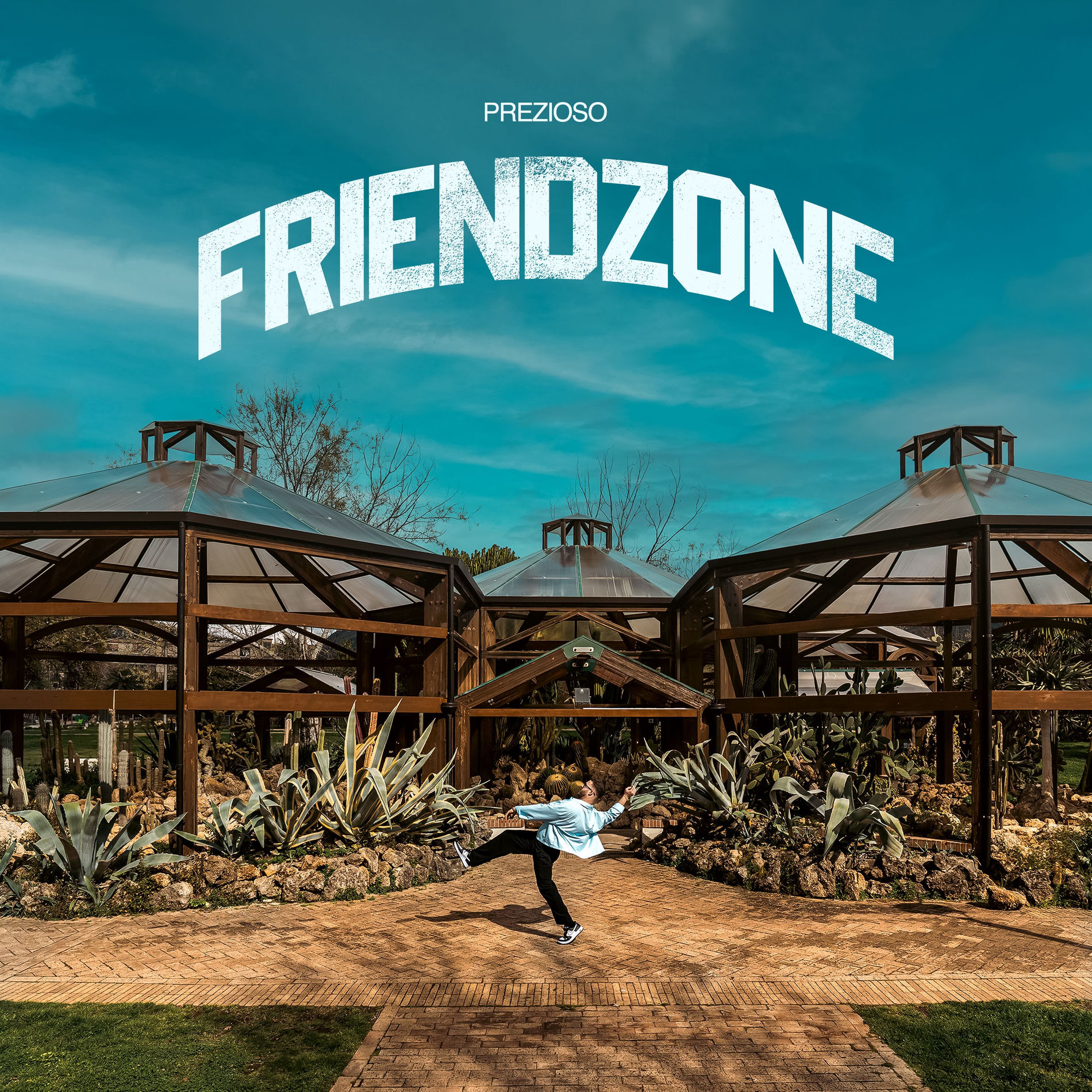 Album cover of Friendzone