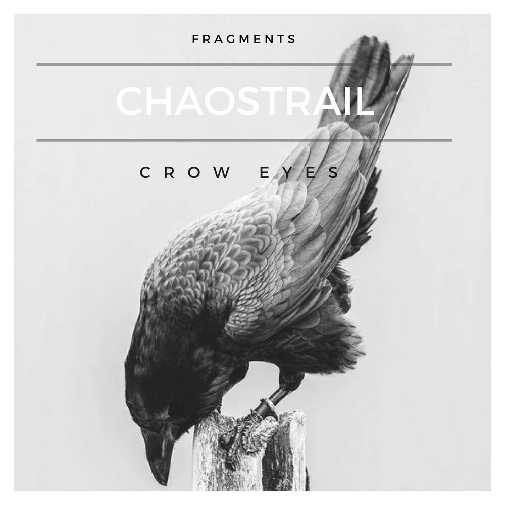 Picture of Crow eyes
