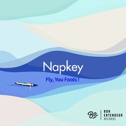 Cover of Fly, You Fools !