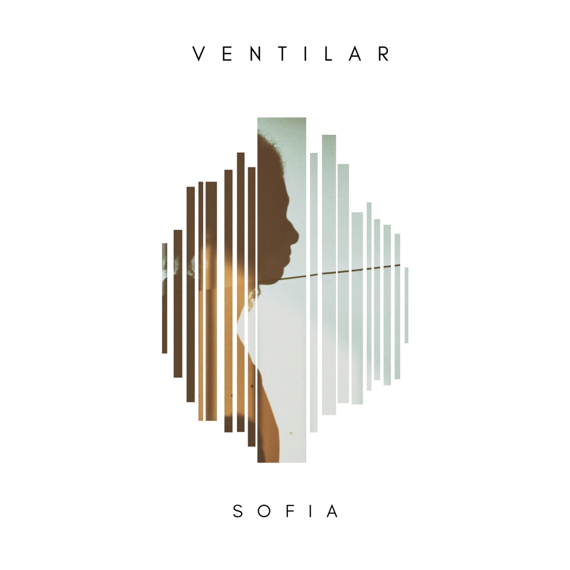 Album cover of Ventilar