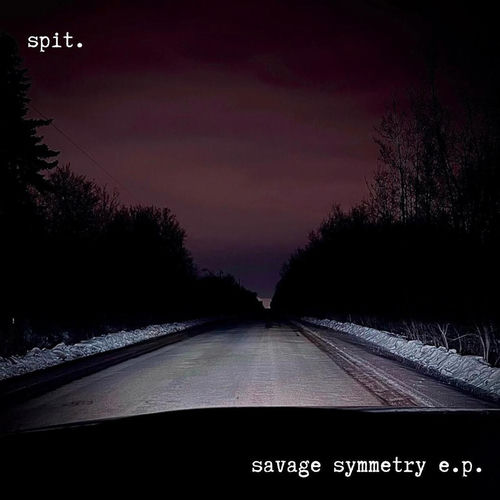 Savage Symmetry - EP