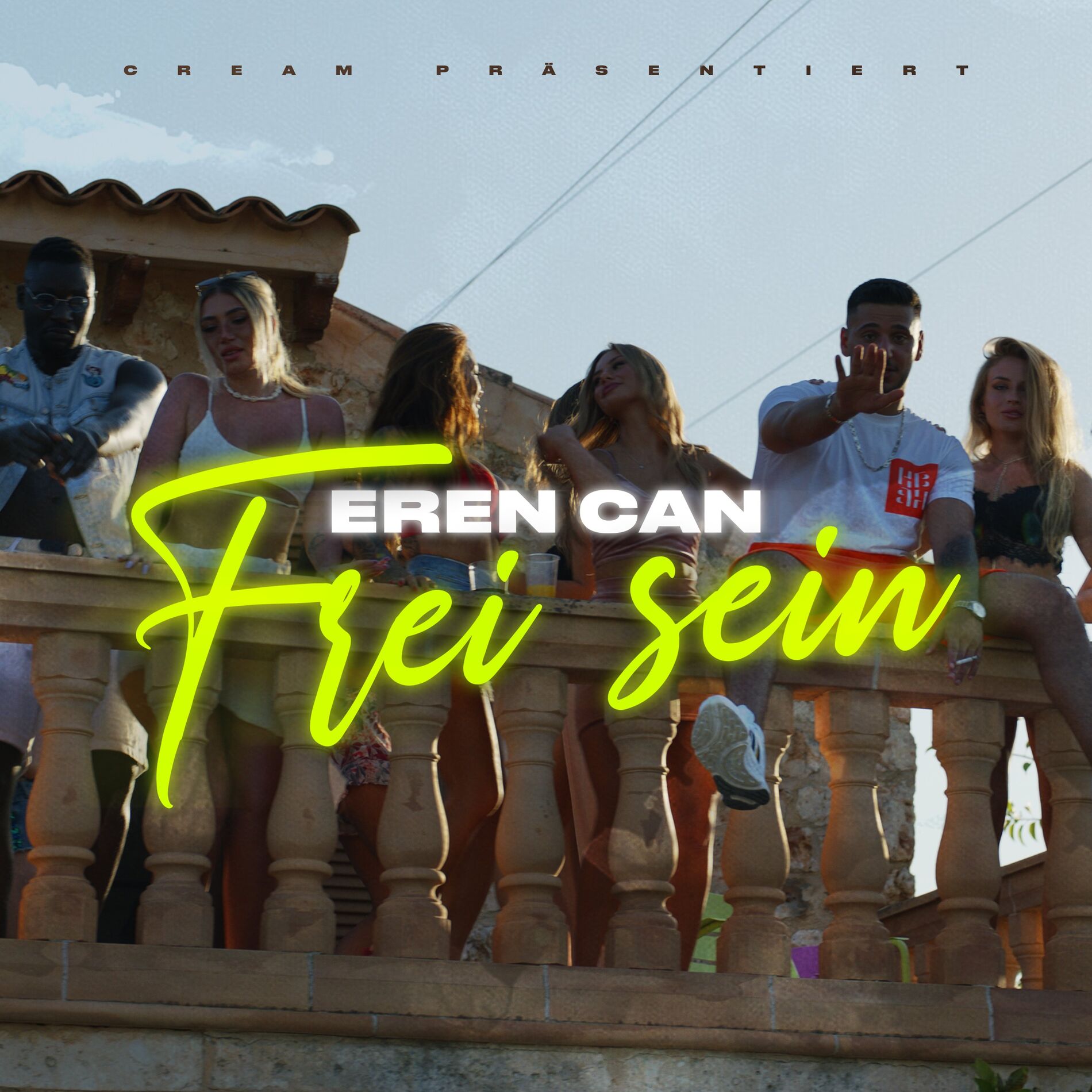 Album cover of Frei sein