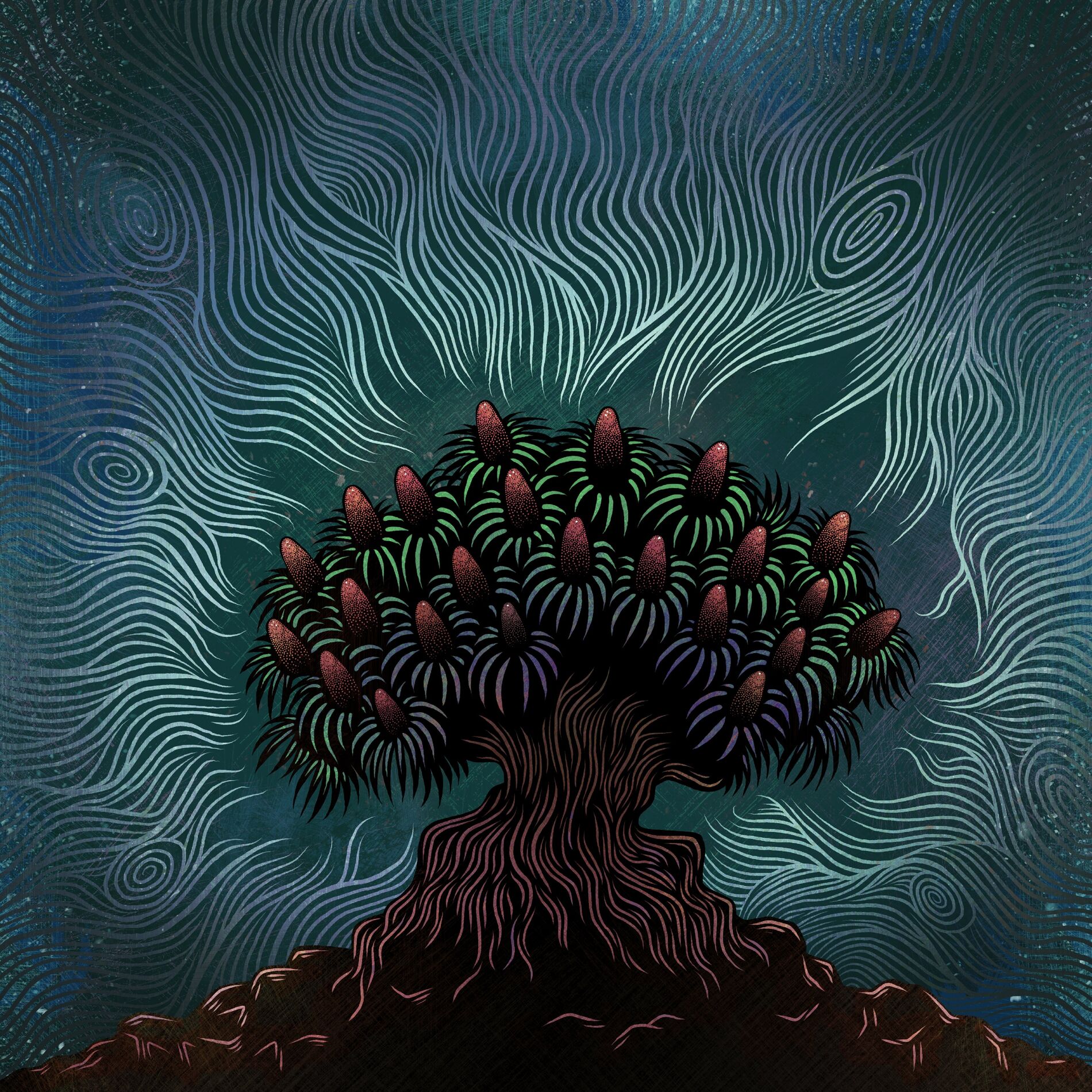 Album cover of Une Étoile Filante