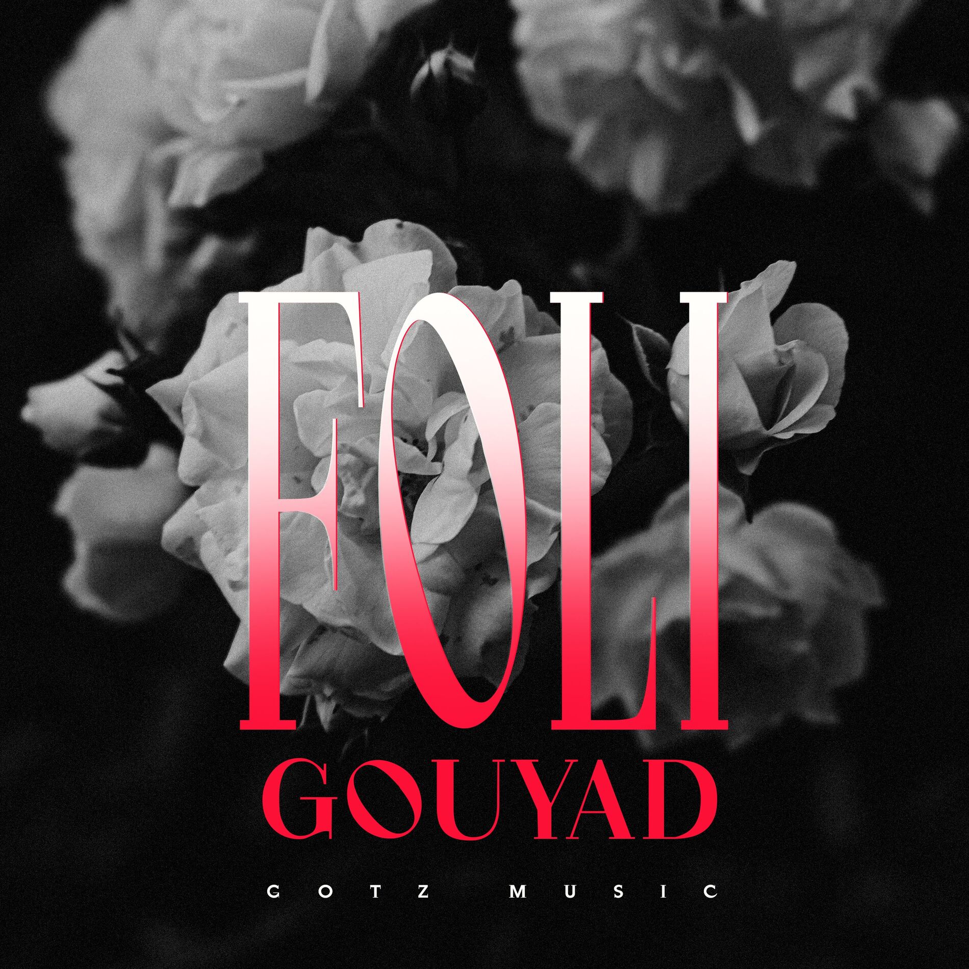 Album cover of Vin Gouye