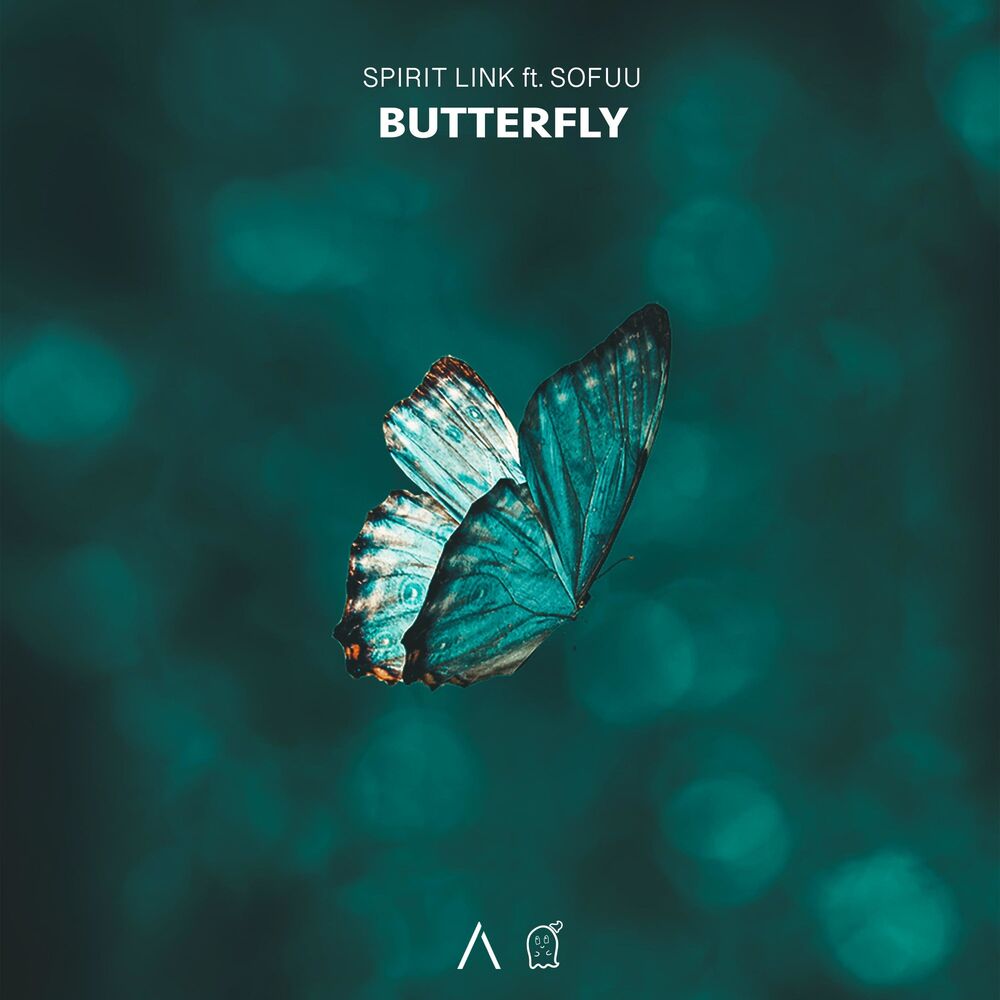 Picture of Butterfly