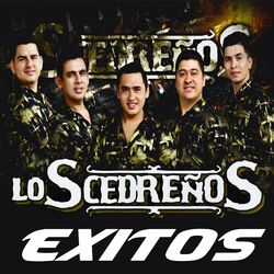 Cover of Exitos