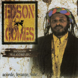 Cover of Acorde, Levante, Lute
