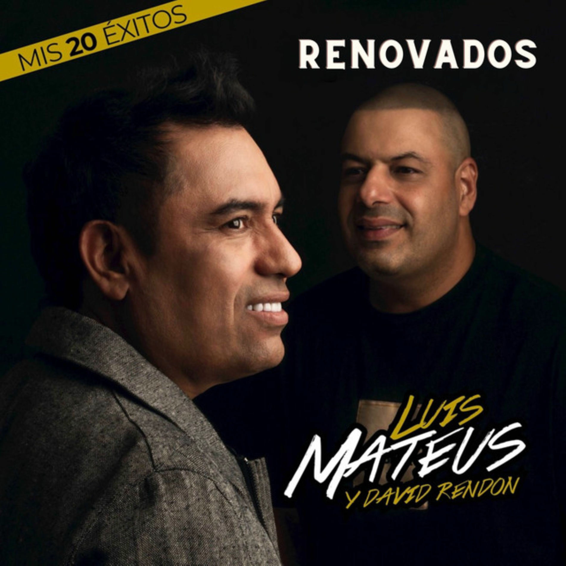 Album cover of Mis 20 Éxitos Renovados
