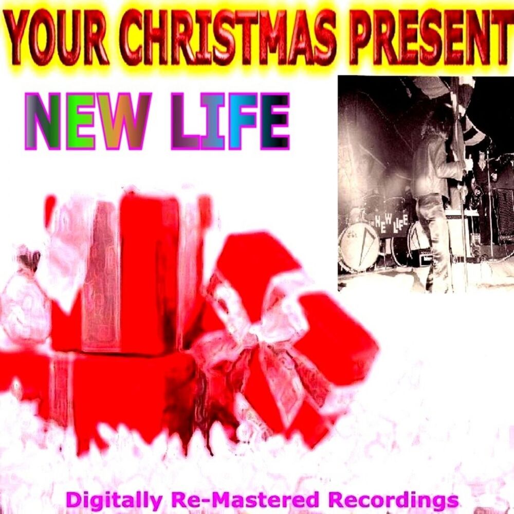 Picture of Your Christmas Present - New Life