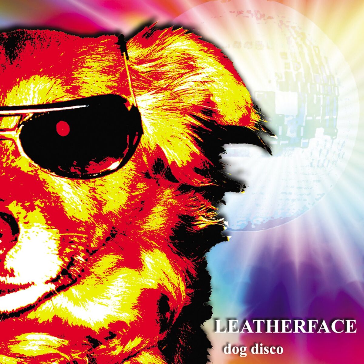 Album cover of Dog Disco