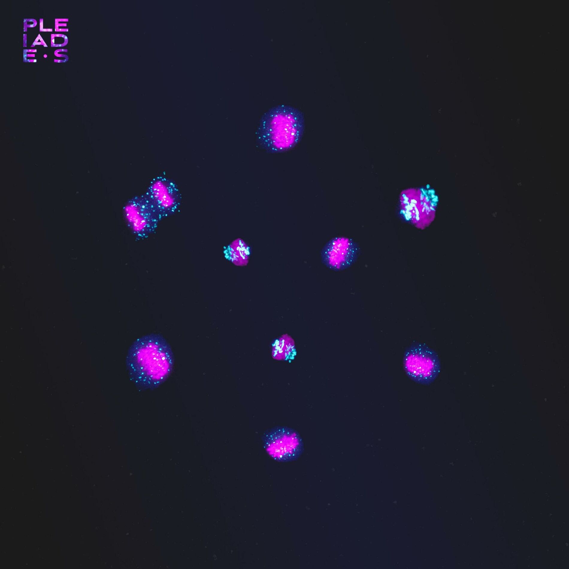 Album cover of ADN (feat. Renaud Pourpre)