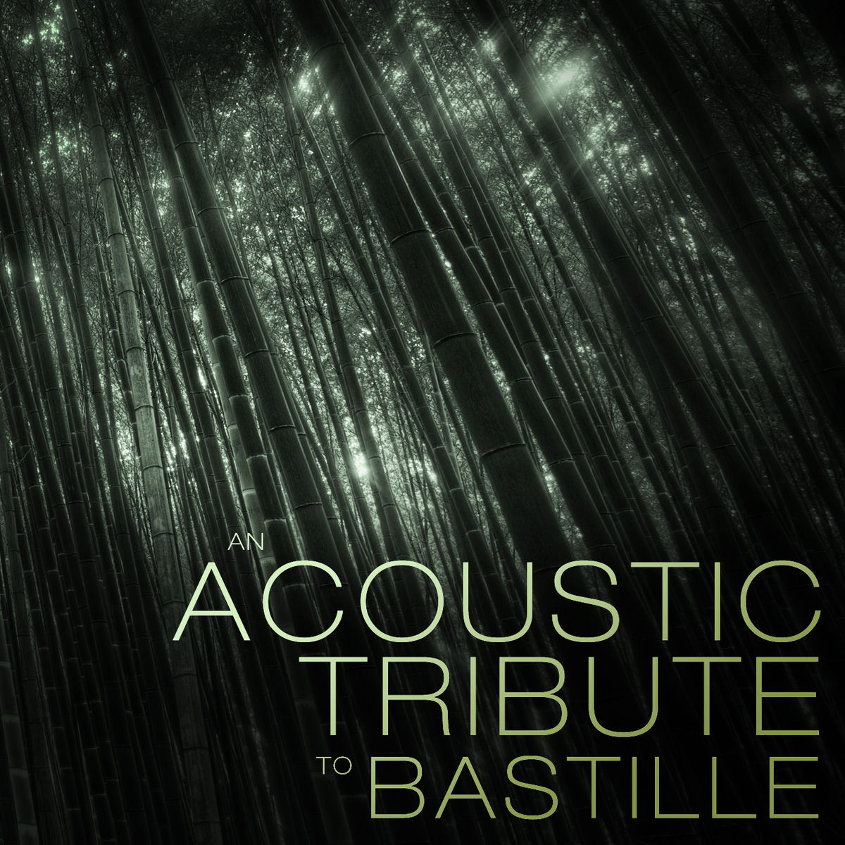 Album cover of Acoustic Tribute to Bastille