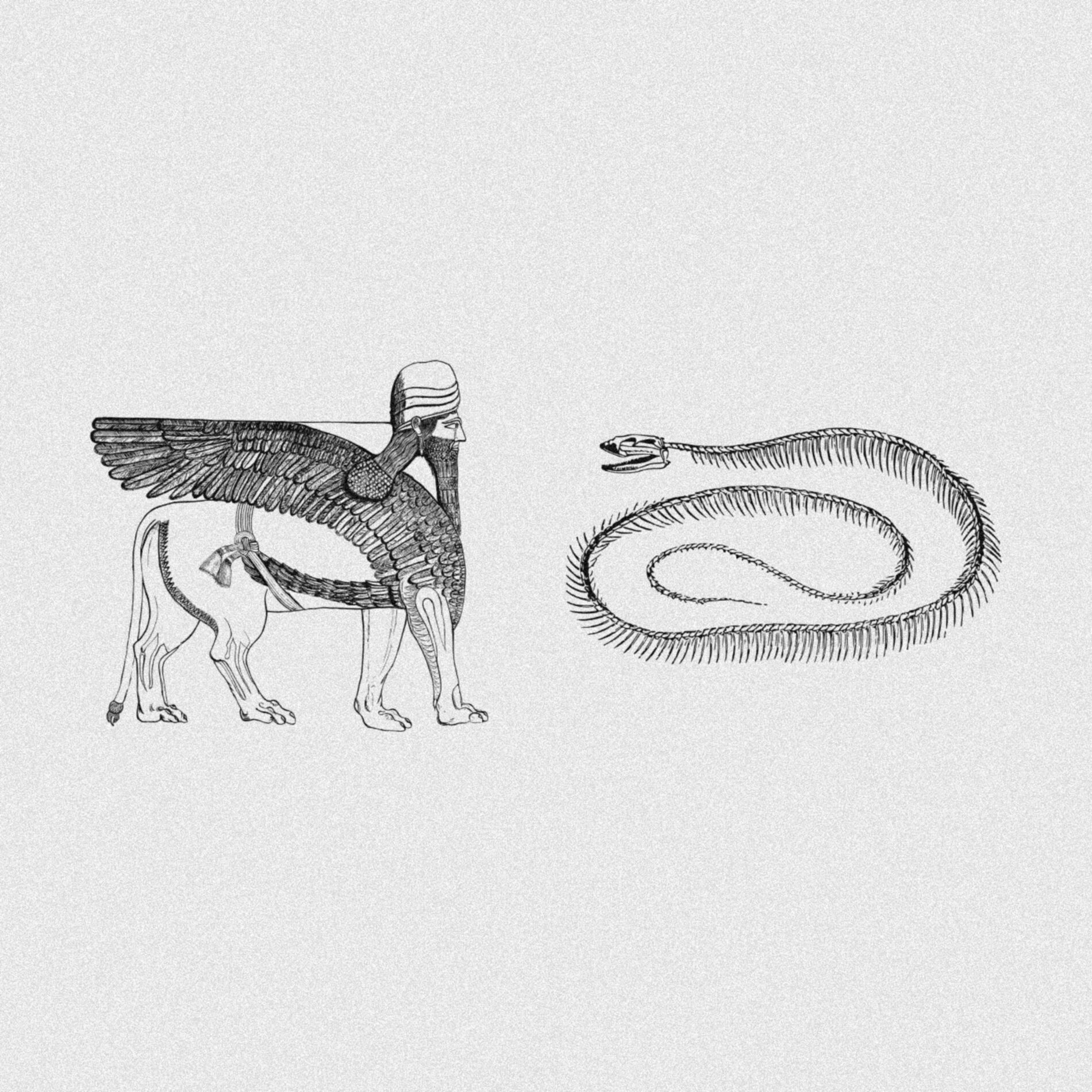Album cover of SNAKES DON'T FLY