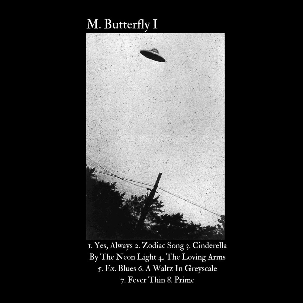Picture of M. Butterfly I