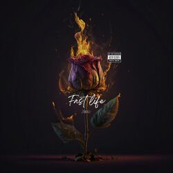 Cover of fast life