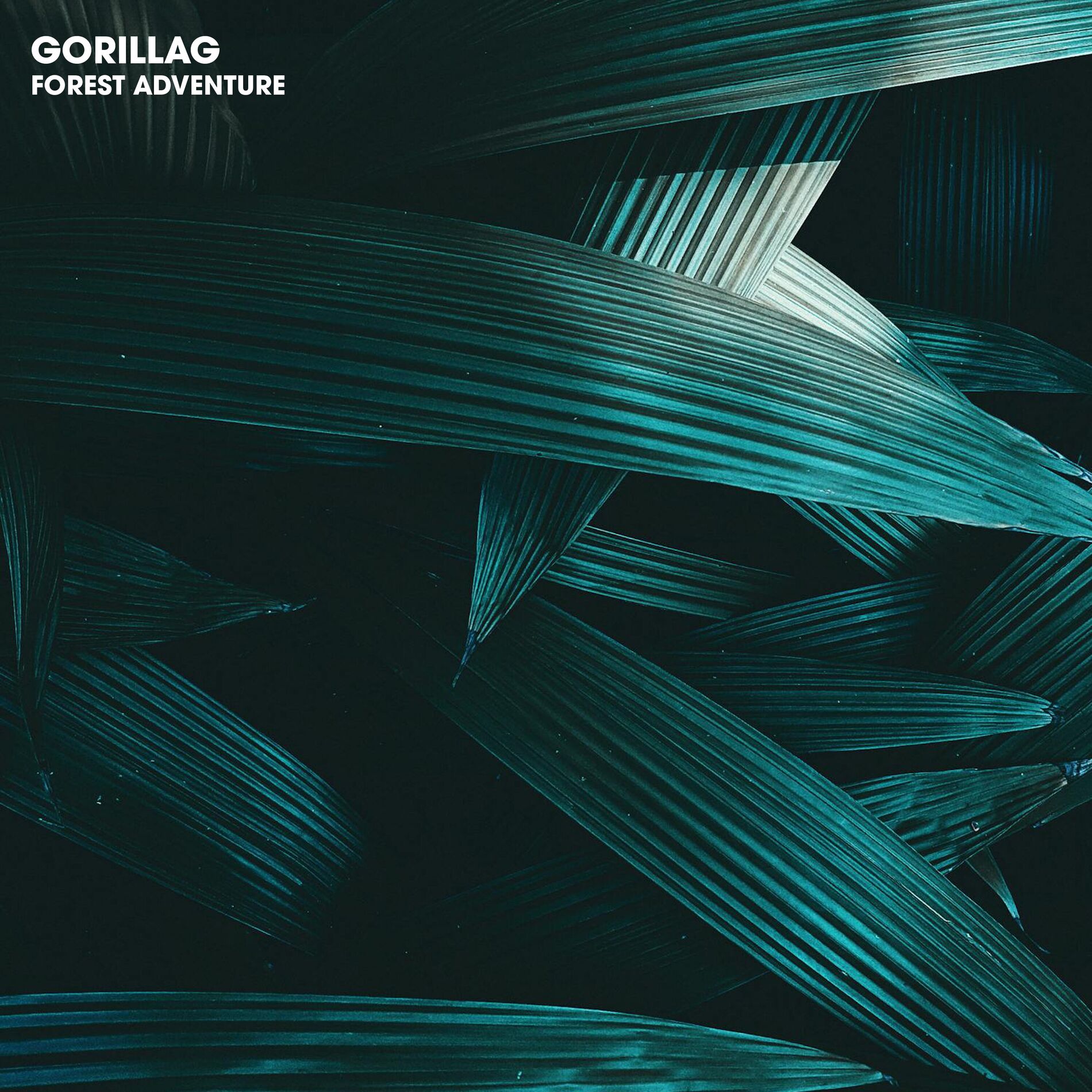 Album cover of Forest adventure
