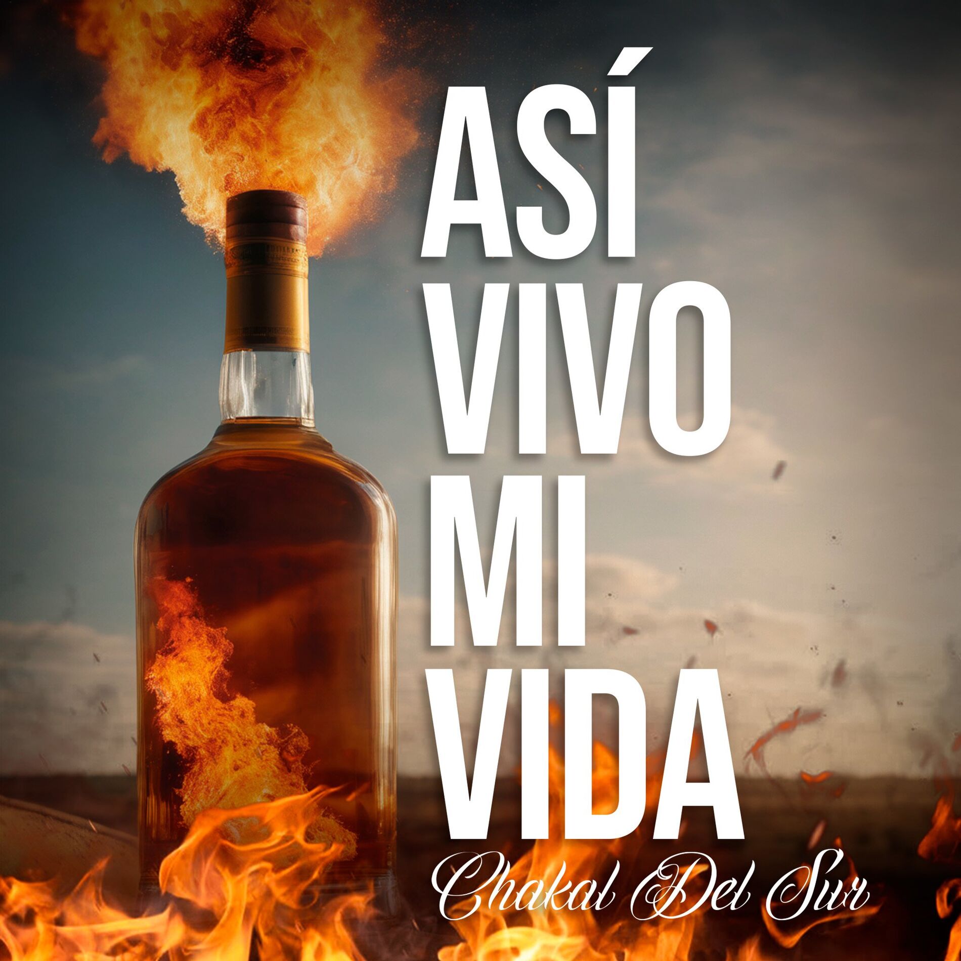 Album cover of Así Vivo Mi Vida
