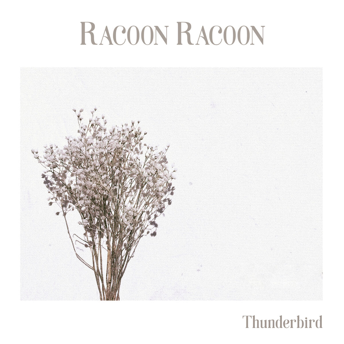 Album cover of Thunderbird