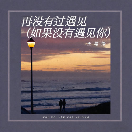 再没有过遇见 (如果没有遇见你)