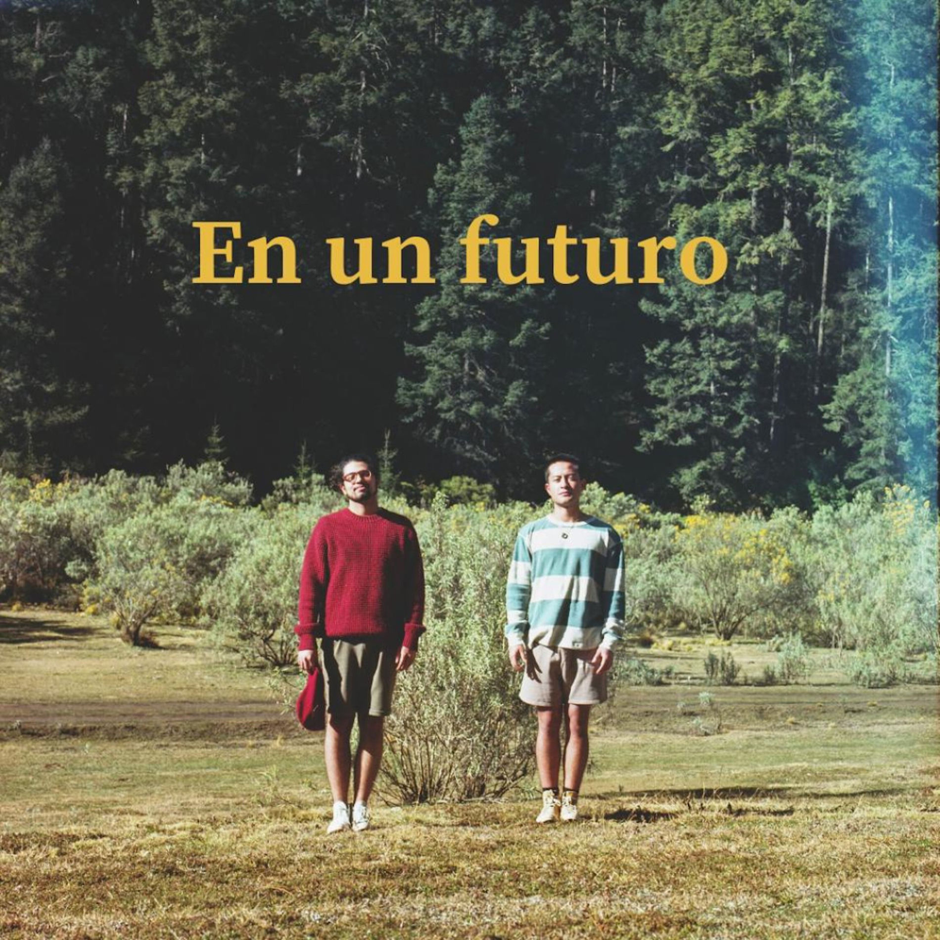 Album cover of En un Futuro