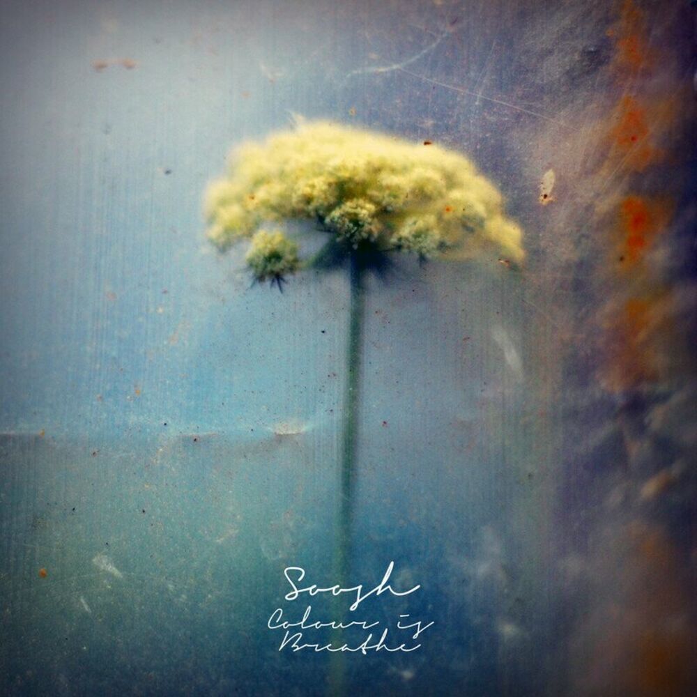 Picture of Colour Is Breathe