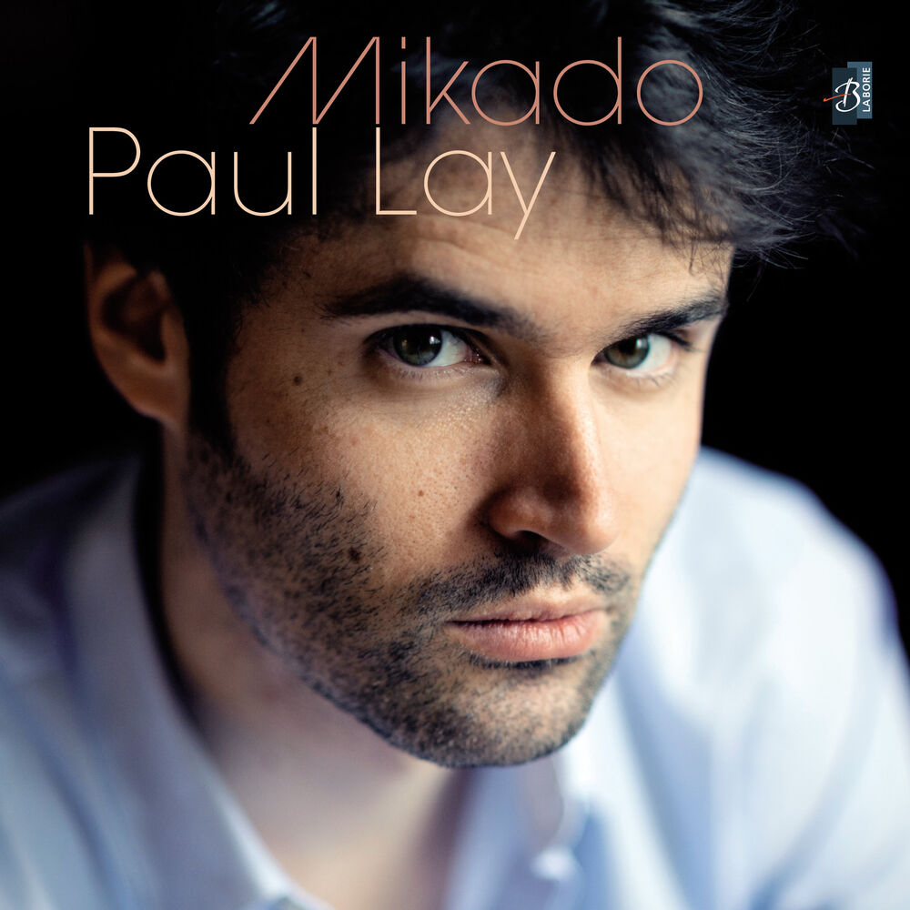 Picture of Mikado