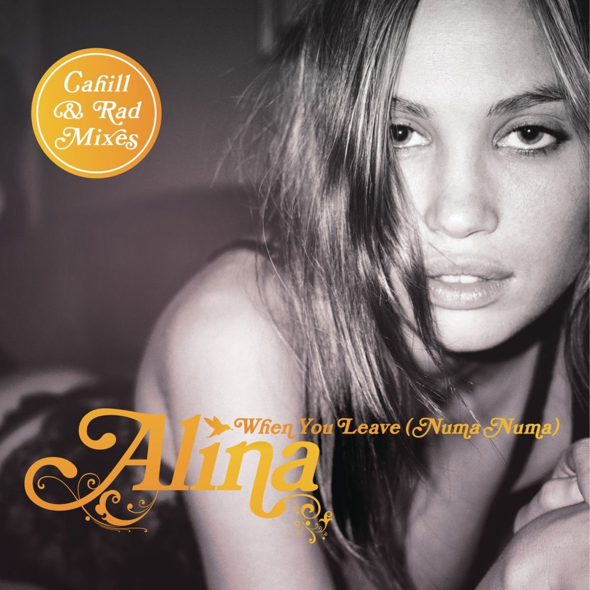 Album cover of When You Leave