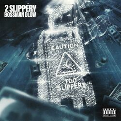 Cover of 2 Slippery