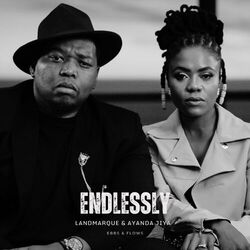 Cover of EBBS & FLOWS: Endlessly