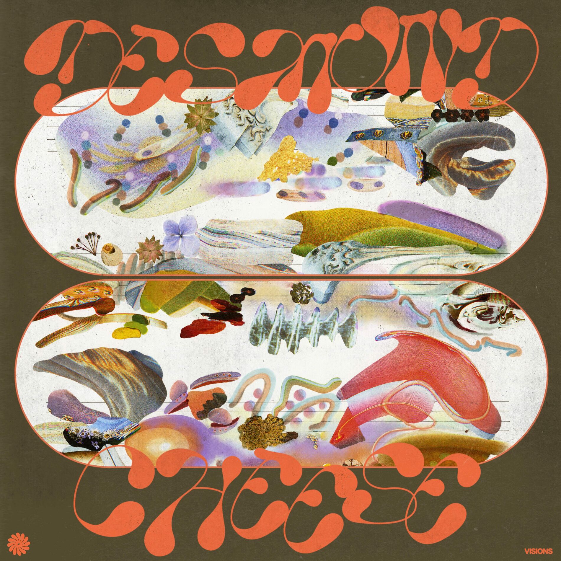 Album cover of Visions