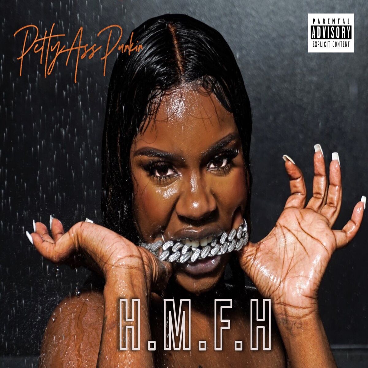 Album cover of H.M.F.H