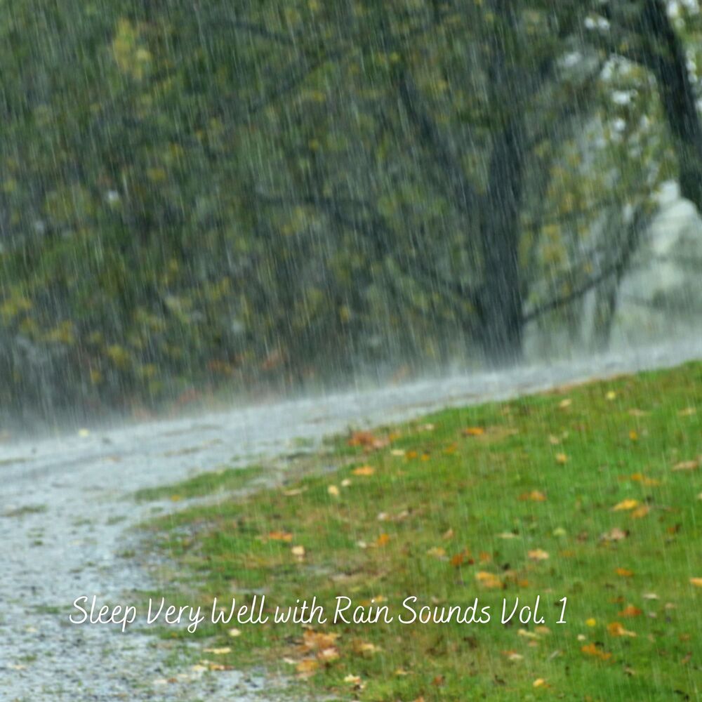 Picture of Sleep Very Well with Rain Sounds Vol. 1