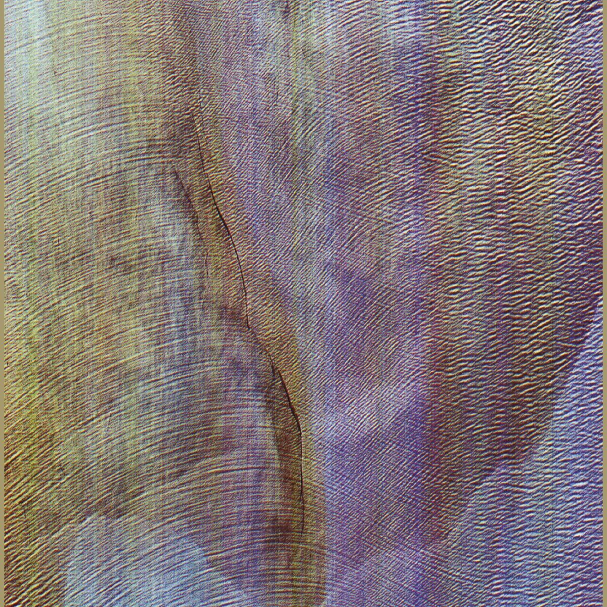 Album cover of Sub Verses